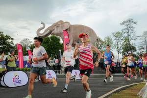 BIB: 
                            <button type="button" onclick="openModal(26528284)" class="btn btn-primary btn-sm float-right btn-popup" data-toggle="modal" data-target=".modal-high-quality">
                        <i class="fas fa-shopping-cart"></i> Add to Cart
                    </button>
                                            <button type="button" onclick="isThisMe(26528284, true)" class="btn btn-success btn-sm float-right btn-popup btn-isme hidden" data-toggle="tooltip" data-placement="bottom" title="นี่คือรูปของคุณใช่ไหม คลิกที่นี่เพื่อเอาเข้าอัลบั้ม">
                        <i class="fas fa-plus"></i> Add to album
                    </button>
                    <button type="button" onclick="isThisMe(26528284, false)" class="btn btn-warning btn-sm float-right btn-popup btn-isnotme hidden">
                        <i class="fas fa-ban"></i> Remove from album
                    </button>